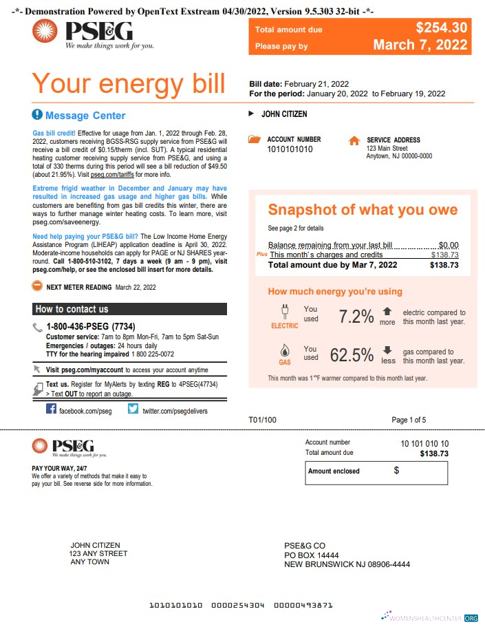 download download USA New York PSEG utility bill, Word and PDF template, 5 pages 1 PDF template PDF template